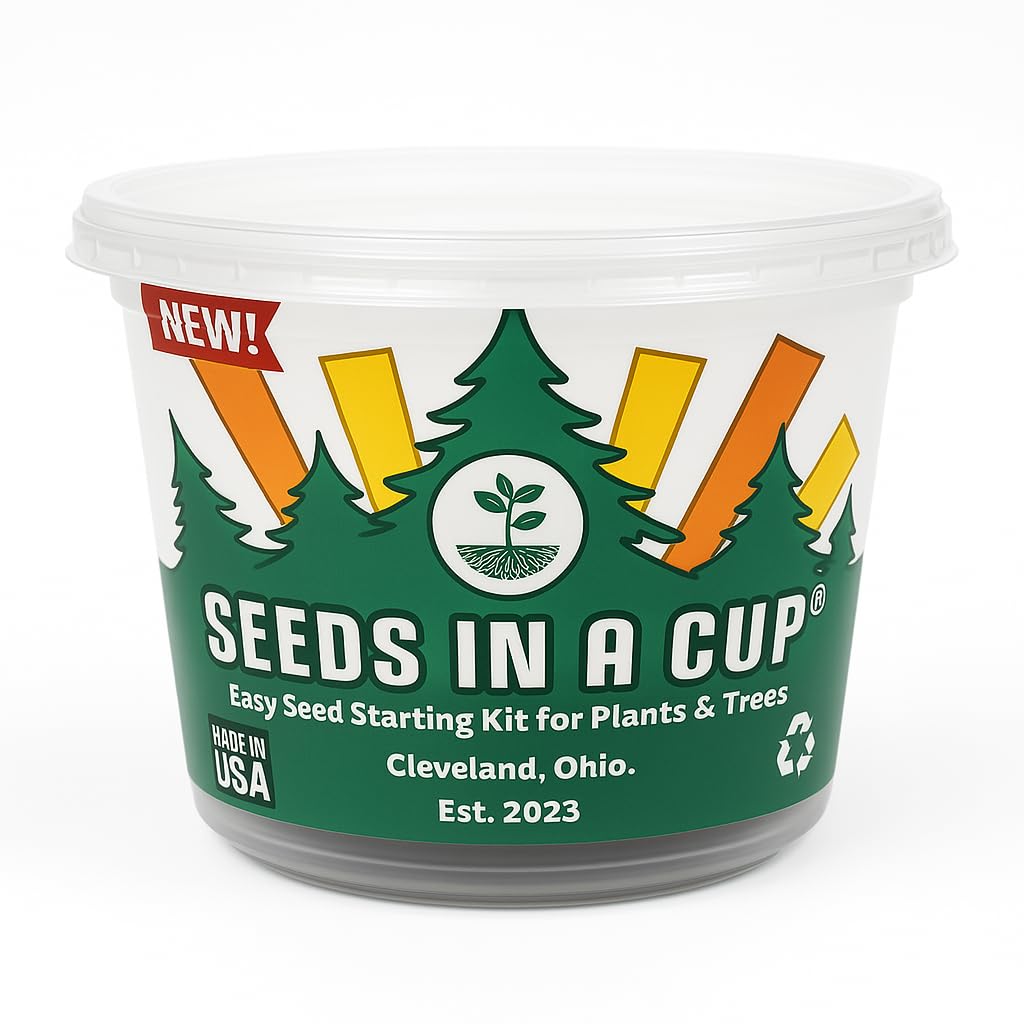 Amazon.com : English Ivy Plant Starter Kit – Seeds In A Cup® Mini